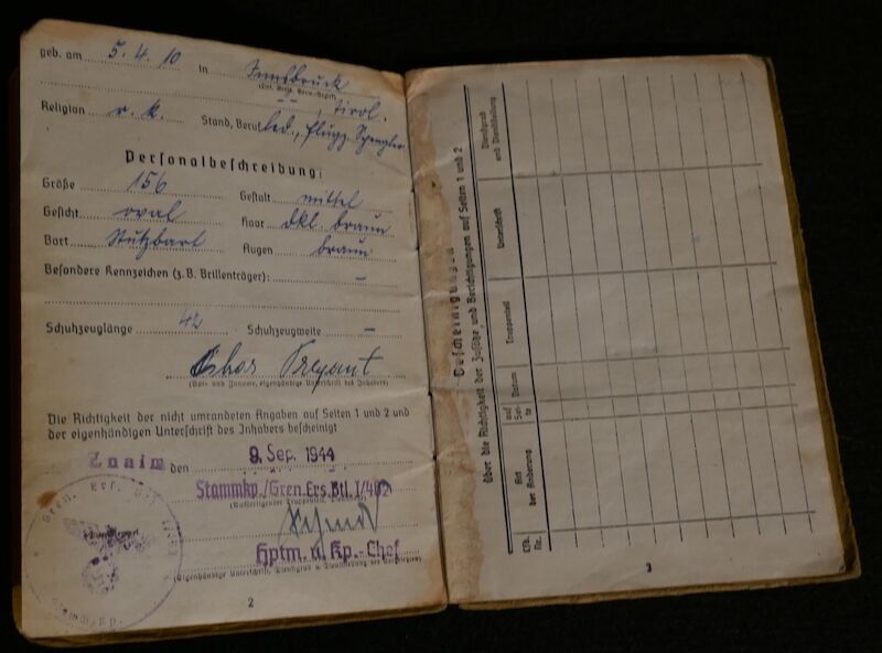 WWII German Soldbuch - Grenadier Pregant - Hoch und Deutschmeister - "Operation Spring Awakening" - Hungary 1945 (Sold) - Image 4