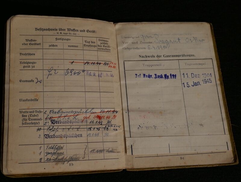 WWII German Soldbuch - Grenadier Pregant - Hoch und Deutschmeister - "Operation Spring Awakening" - Hungary 1945 (Sold) - Image 8
