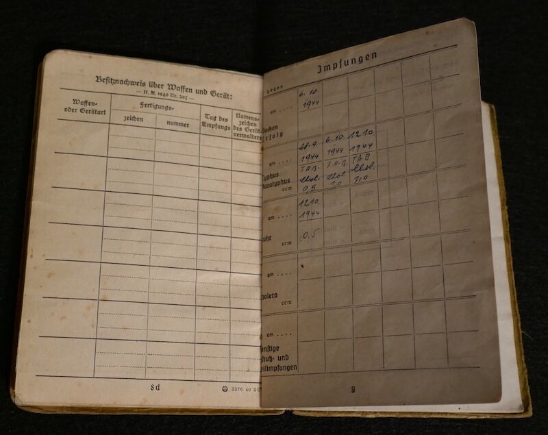 WWII German Soldbuch - Grenadier Pregant - Hoch und Deutschmeister - "Operation Spring Awakening" - Hungary 1945 (Sold) - Image 9