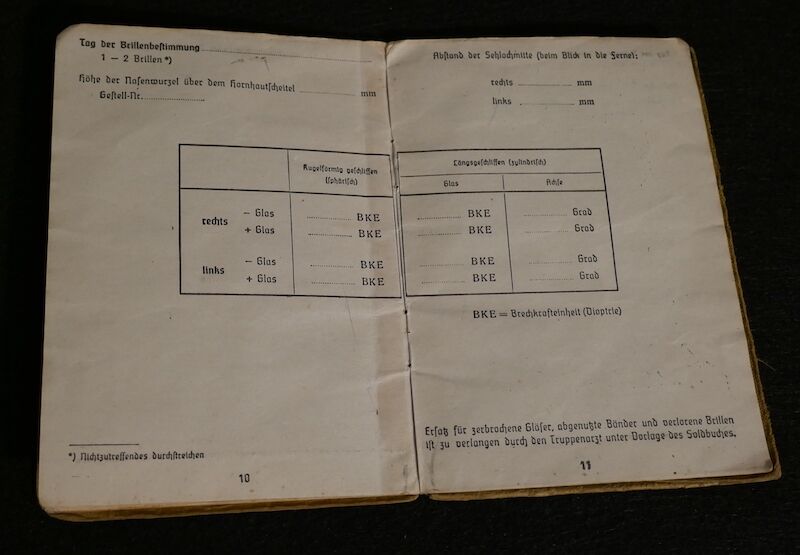 WWII German Soldbuch - Grenadier Pregant - Hoch und Deutschmeister - "Operation Spring Awakening" - Hungary 1945 (Sold) - Image 10