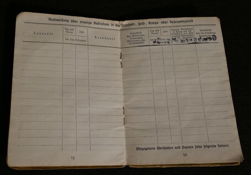 WWII German Soldbuch - Grenadier Pregant - Hoch und Deutschmeister - "Operation Spring Awakening" - Hungary 1945 (Sold) - Image 11