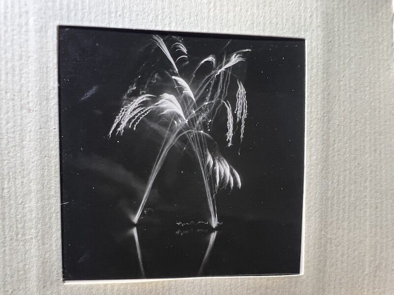 WWII German Min Photo Album Leipzig KDF Wagen Volkswagen Beetle Art Museums Streets with Flags - Image 25